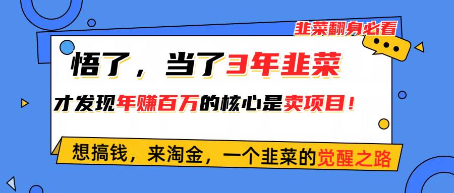 悟了，当了3年韭菜，才发现网赚圈年赚100万的核心是卖项目，含泪分享！-云舒网创