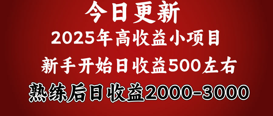 好项目一眼就能看出来，日收益1000，长久可做，2025拼的就是我比你勤奋-云舒网创