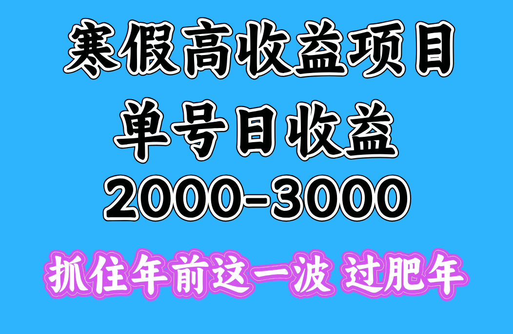 寒假期间一天收益2000-3000+，抓住年前这一波-云舒网创