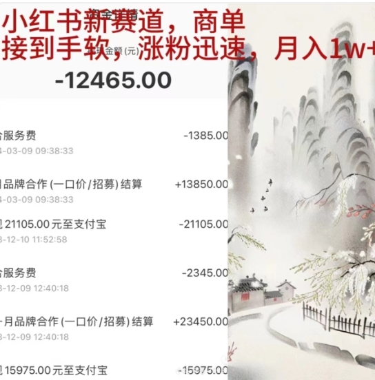 小红书新赛道，商单接到手软，涨粉迅速，一个月1w+-云舒网创