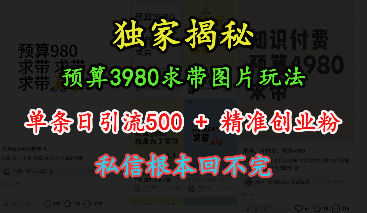 “小红书”预算3980求带 图片玩法，单条日引流500+精准创业粉，私信根本回不完-云舒网创