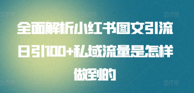 全面解析小红书图文引流日引100私域流量是怎样做到的-云舒网创