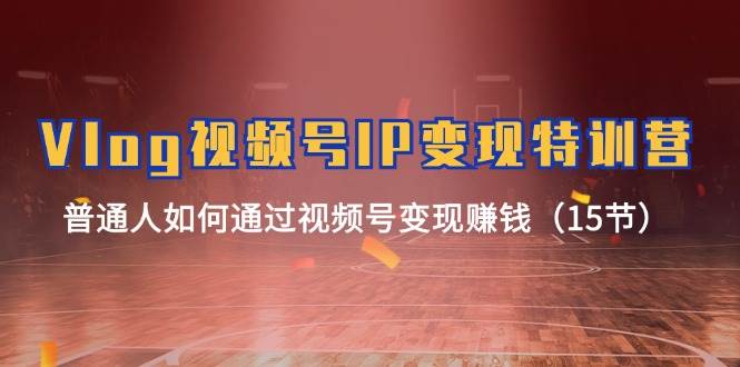 Vlog 视频号IP变现特训营，普通人如何通过视频号变现赚钱（15节）-云舒网创