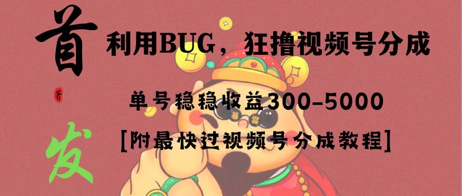 全网独家首发，视频号BUG，超短期项目，单号每日净收益300-5000！-云舒网创