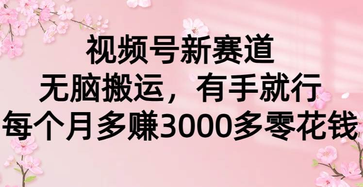 视频号新赛道，无脑搬运，有手就行，每个月多赚3000多零花钱-云舒网创