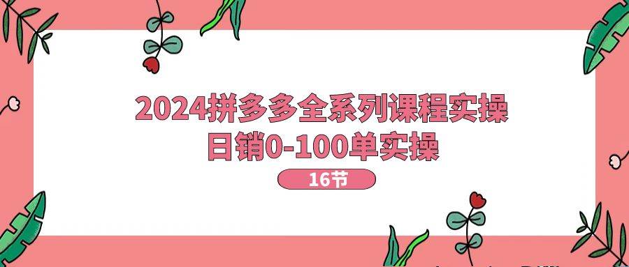 2024拼多多全系列课程实操，日销0-100单实操【16节课】-云舒网创