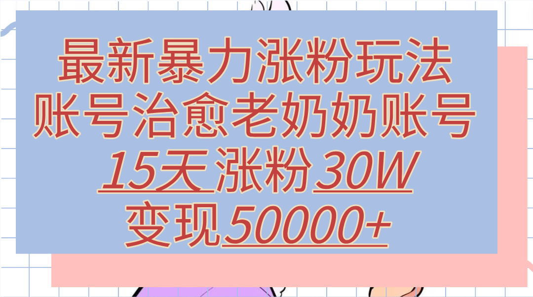 最新暴力涨粉玩法，治愈老奶奶账号，15天涨粉30W，变现50000+【揭秘】-云舒网创