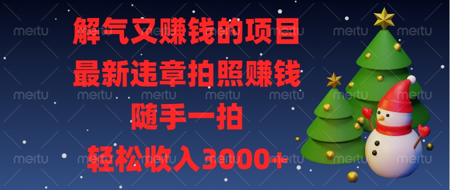 最新违章拍照赚钱，随手一拍，解气又赚钱的项目，轻松收入3000+-云舒网创
