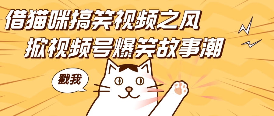 借猫咪搞笑视频之风，掀视频号爆笑故事潮，轻松日赚四位数，开启无门槛赚钱新体验！-云舒网创