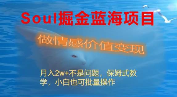Soul掘金蓝海项目细分赛道，做情感价值变现，月入2w+不是问题-云舒网创
