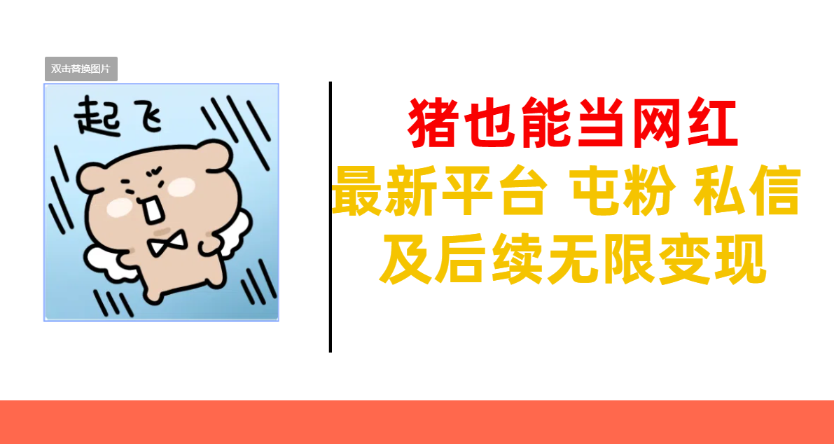 猪也能当网红-最新平台 屯粉 交流 私信 及后续无限变现-云舒网创