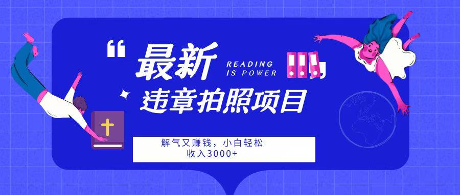 最新违章拍照项目，解气又赚钱，随手一拍，轻松收入3000-云舒网创