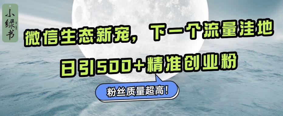 微信生态新宠小绿书：下一个流量洼地，粉丝质量超高，日引500+精准创业粉，-云舒网创