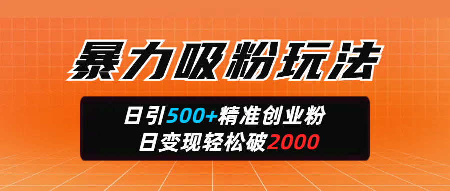 暴力吸粉玩法，日引500+精准创业粉，日变现轻松破2000-云舒网创