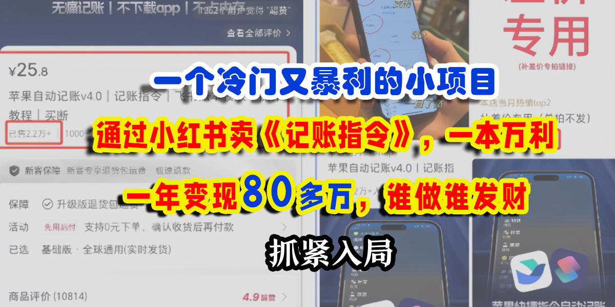 一个冷门又暴利的小项目，通过小红书卖《记账指令》，一本万利，一年变现80多万，谁做谁发财-云舒网创