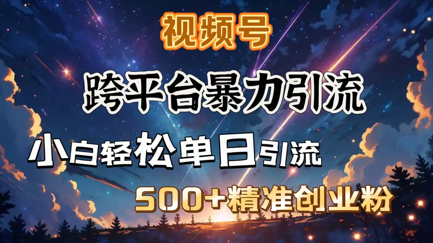 视频号跨平台暴力引流，小白轻松单日引流500＋精准创业粉-云舒网创