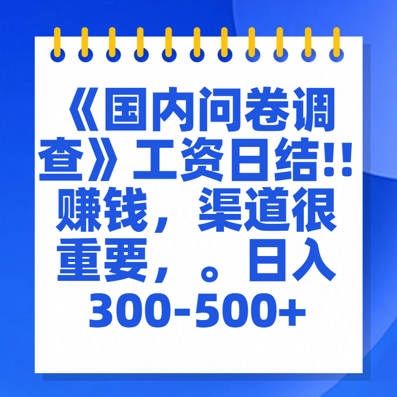 问卷调查答题，一个人在家也可以闷声发大财，小白一天2张，【揭秘】-云舒网创