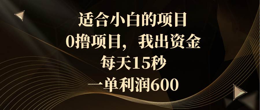 适合小白的项目，0撸项目，我出资金，每天15秒，一单利润600-云舒网创