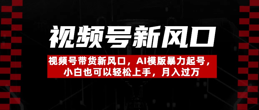 视频号带货新风口，AI模版暴力起号，小白也可以轻松上手，月入过万-云舒网创