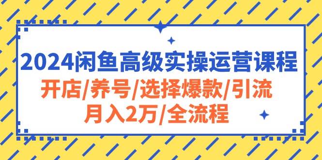 2024闲鱼高级实操运营课程：开店/养号/选择爆款/引流/月入2万/全流程-云舒网创