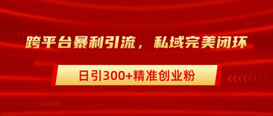 跨平台暴力引流，私域完美闭环，日引300+精准创业粉-云舒网创