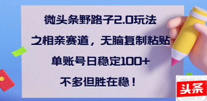 全网首发微头条野路子2.0玩法之相亲赛道，无脑搬砖复制粘贴，单账号日稳定300+保姆级教程-云舒网创