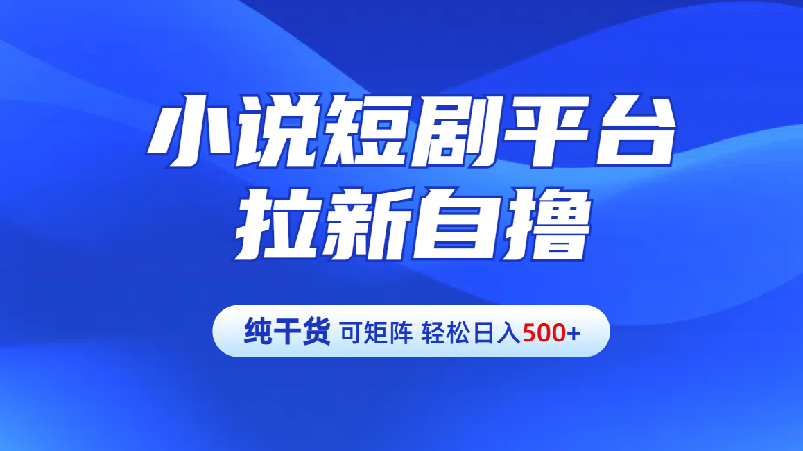 【纯干货】小说短剧平台拉新自撸玩法详解-单人轻松日入500+-云舒网创