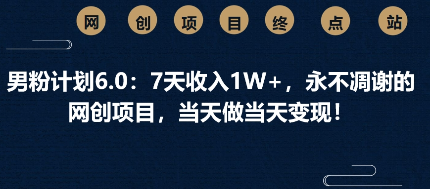 男粉计划6.0：7天收入1W+，永不凋谢的网创项目，当天做当天变现！-云舒网创