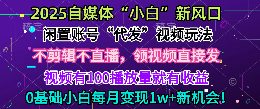 2025每月躺赚5w+新机会，闲置视频账号一键代发玩法，0粉不实名不剪辑，领了视频直接发，0基础小白也能日入300+-云舒网创