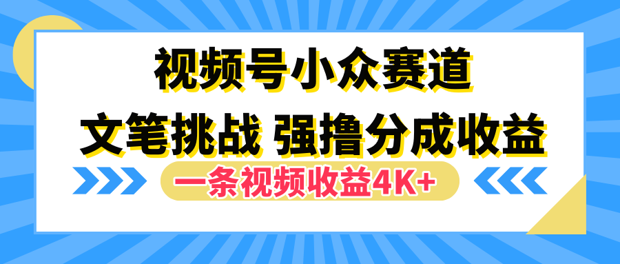 视频号小众赛道，文笔挑战，一条视频收益4K+-云舒网创