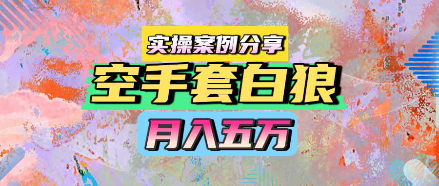 空手套白狼，月入五万，实操案例分享-云舒网创