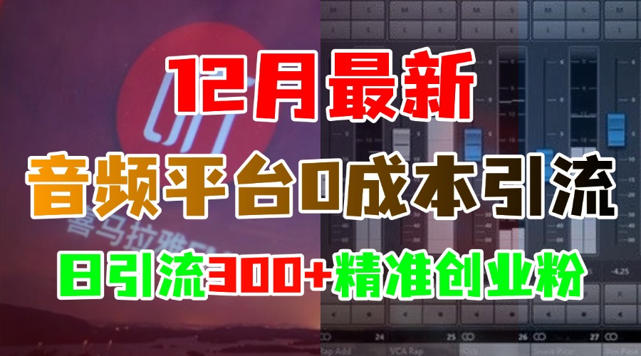 12月最新：音频平台0成本引流，日引300+精准创业粉-云舒网创