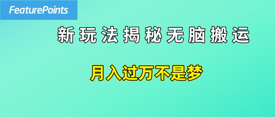 简单操作，每天50美元收入，搬运就是赚钱的秘诀！-云舒网创