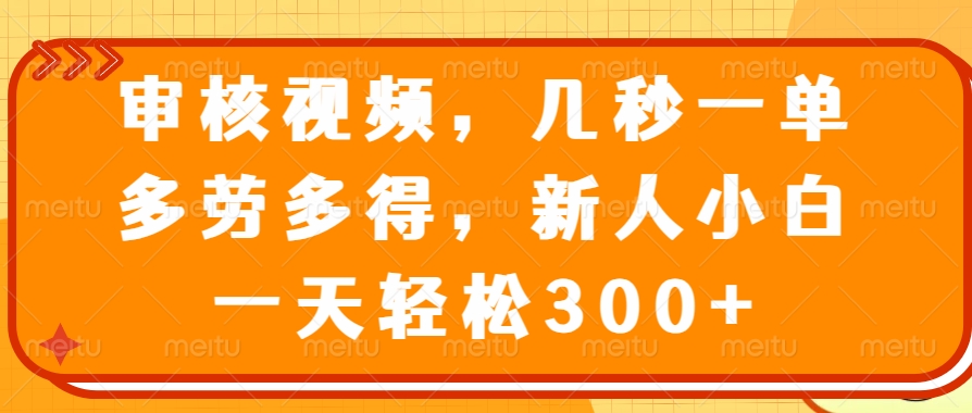 视频审核员，几秒一单，多劳多得，新人小白一天轻松300+-云舒网创