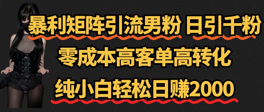 暴利矩阵引流男粉（日引千粉），零成本高客单高转化，纯小白轻松日赚2000+-云舒网创