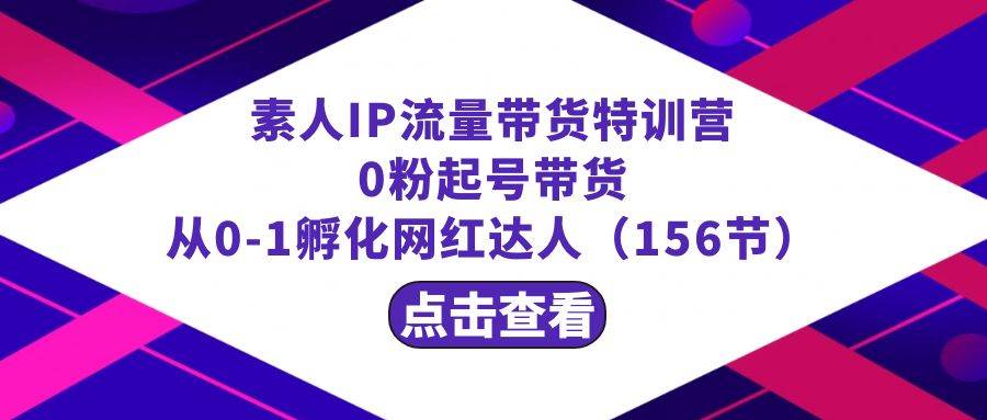 繁星·计划素人IP流量带货特训营：0粉起号带货 从0-1孵化网红达人（156节）-云舒网创