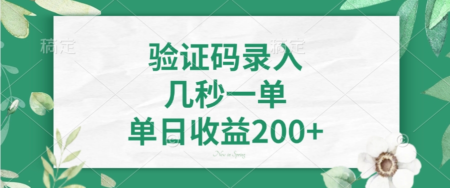 验证码录入，几秒一单，单日收益200+-云舒网创