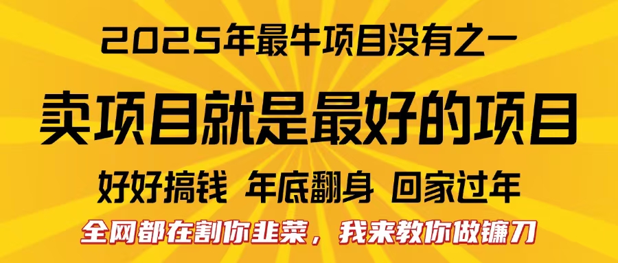 全网都在割你韭菜，我来教你做镰刀。卖项目就是最好的项目，2025年最牛互联网项目-云舒网创