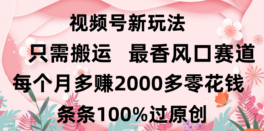 日入2000+，条条100%过原创，视频号最香风口赛道，小白轻松上手-云舒网创