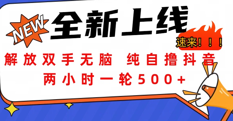 解放双手无脑 纯自撸抖音 两小时一轮500+-云舒网创