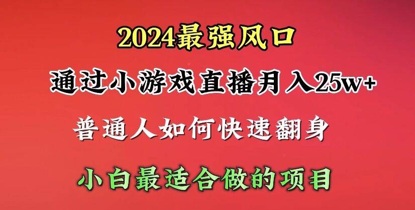 2024年最强风口，通过小游戏直播月入25w+单日收益5000+小白最适合做的项目-云舒网创