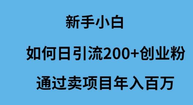 新手小白如何日引流200+创业粉通过卖项目年入百万-云舒网创