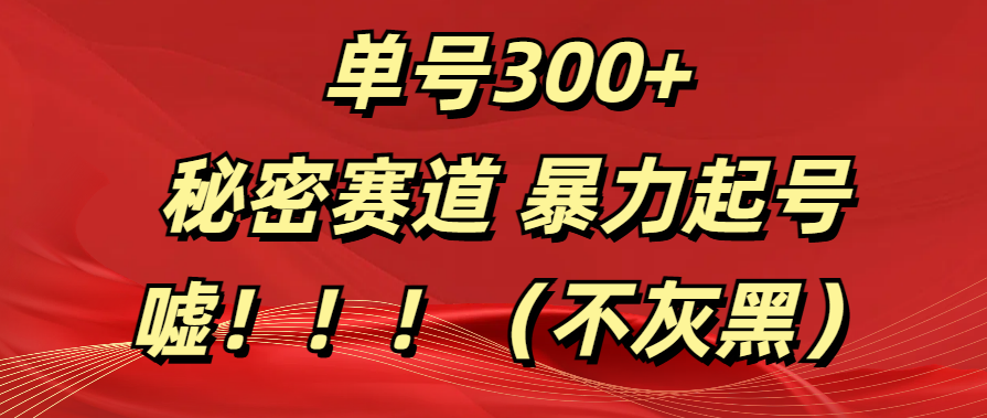 单号300+  秘密赛道 暴力起号  （不灰黑）-云舒网创