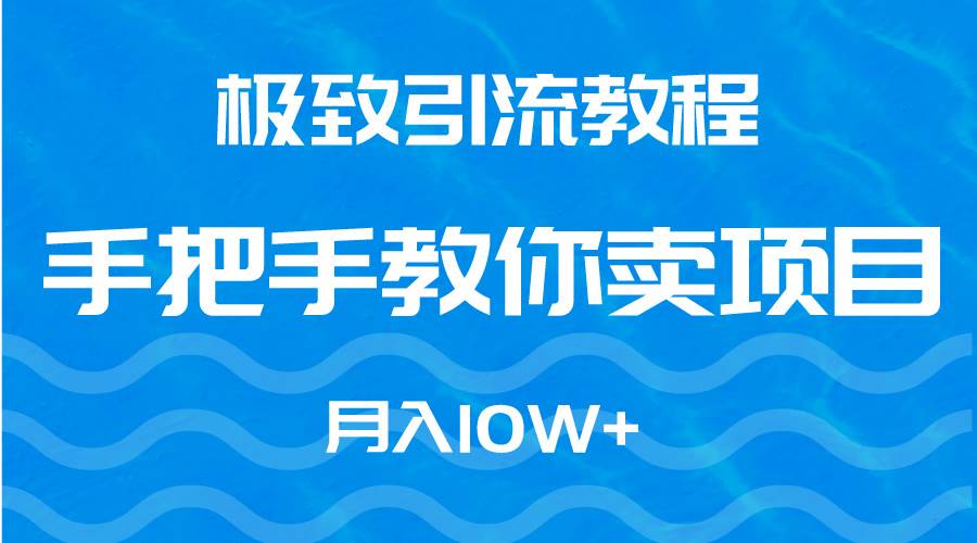 极致引流教程，手把手教你卖项目，月入10W+-云舒网创