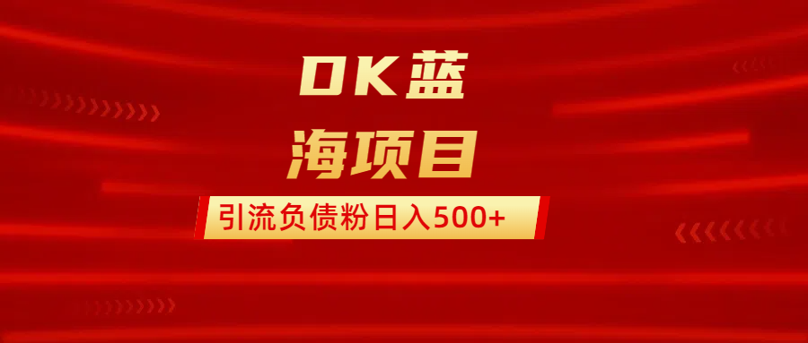 DK蓝海项目  通过，抖音，快手，小红书，引流负债粉日入500+-云舒网创