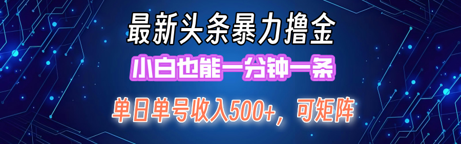 最新头条撸金，小白也能一分钟一条-云舒网创