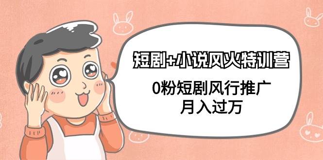 短剧+小说风火特训营，0粉短剧风行推广，月入过万（102节课）-云舒网创