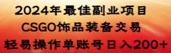 2024年最佳副业项目 CSGO饰品装备交易 轻易操作单账号日入200+-云舒网创