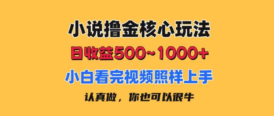小说撸金核心玩法，日收益500-1000+，小白看完照样上手，0成本有手就行-云舒网创