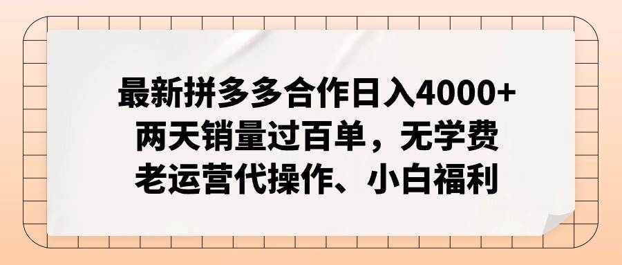 最新拼多多合作日入4000+两天销量过百单，无学费、老运营代操作、小白福利-云舒网创